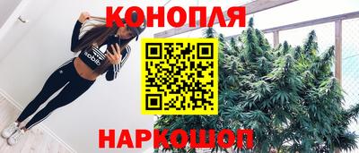 крисы Краснознаменск