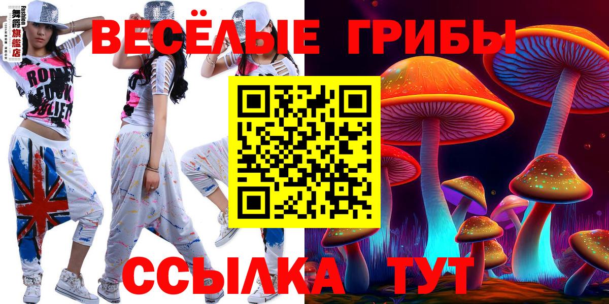 Галлюциногенные грибы Psilocybe Фурманов