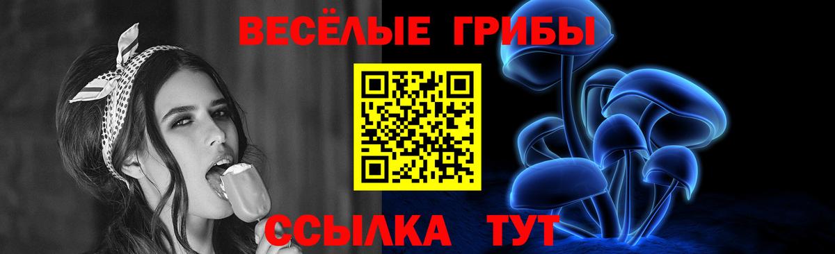 Фурманов  продажа наркотиков  Вход с VPN  Галлюциногенные грибы Psilocybe 